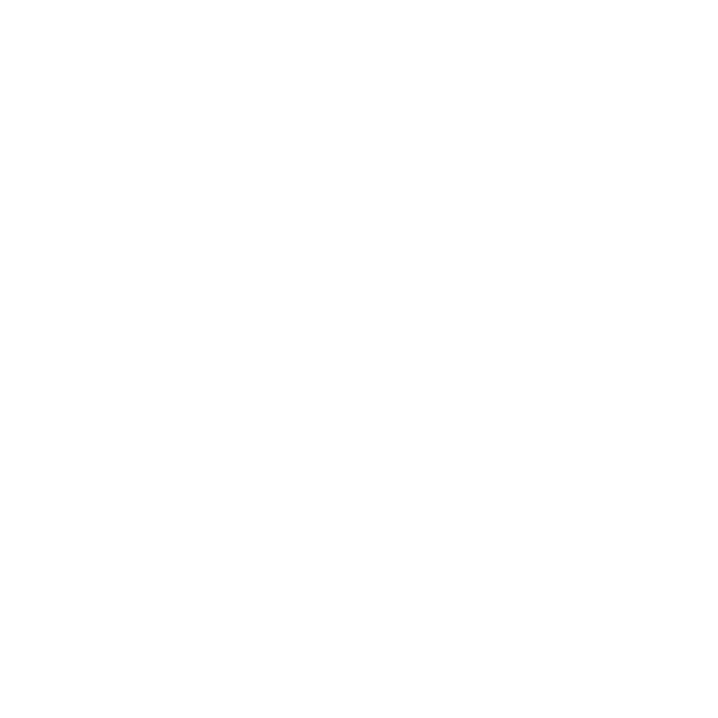 Burger Time